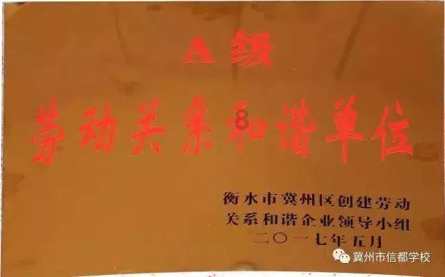 蓝狐视频